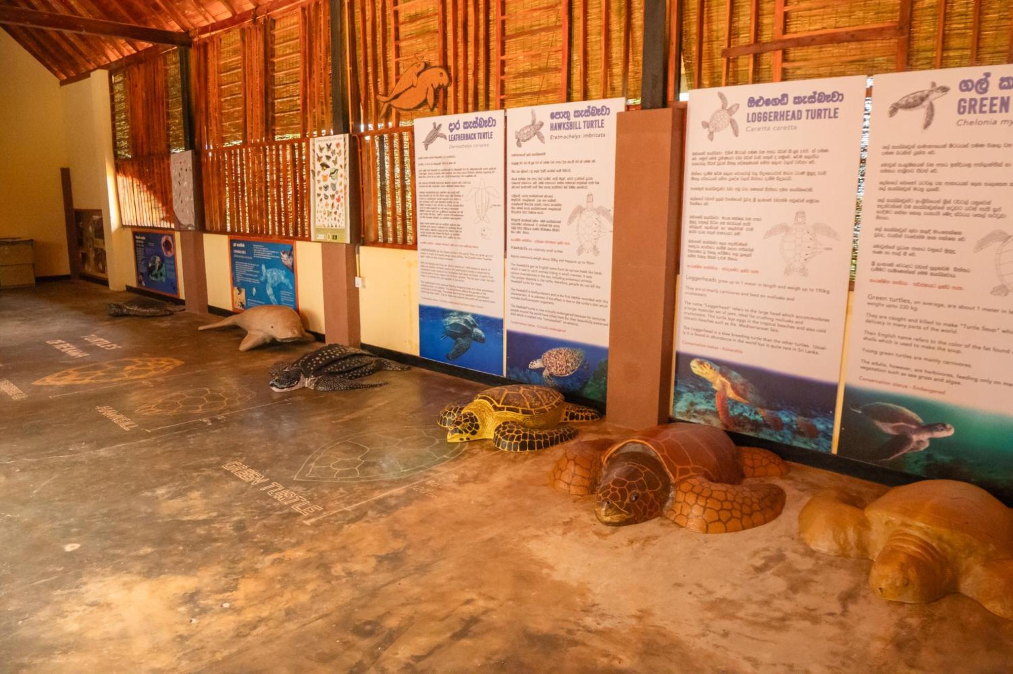 Rekawa Turtle Gate Hotel Tangalle Ngoại thất bức ảnh