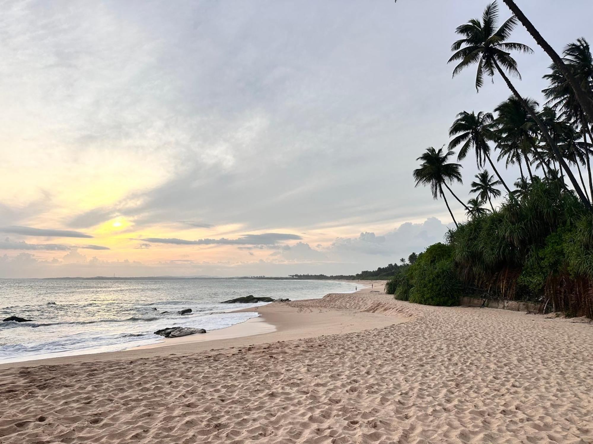 Rekawa Turtle Gate Hotel Tangalle Ngoại thất bức ảnh