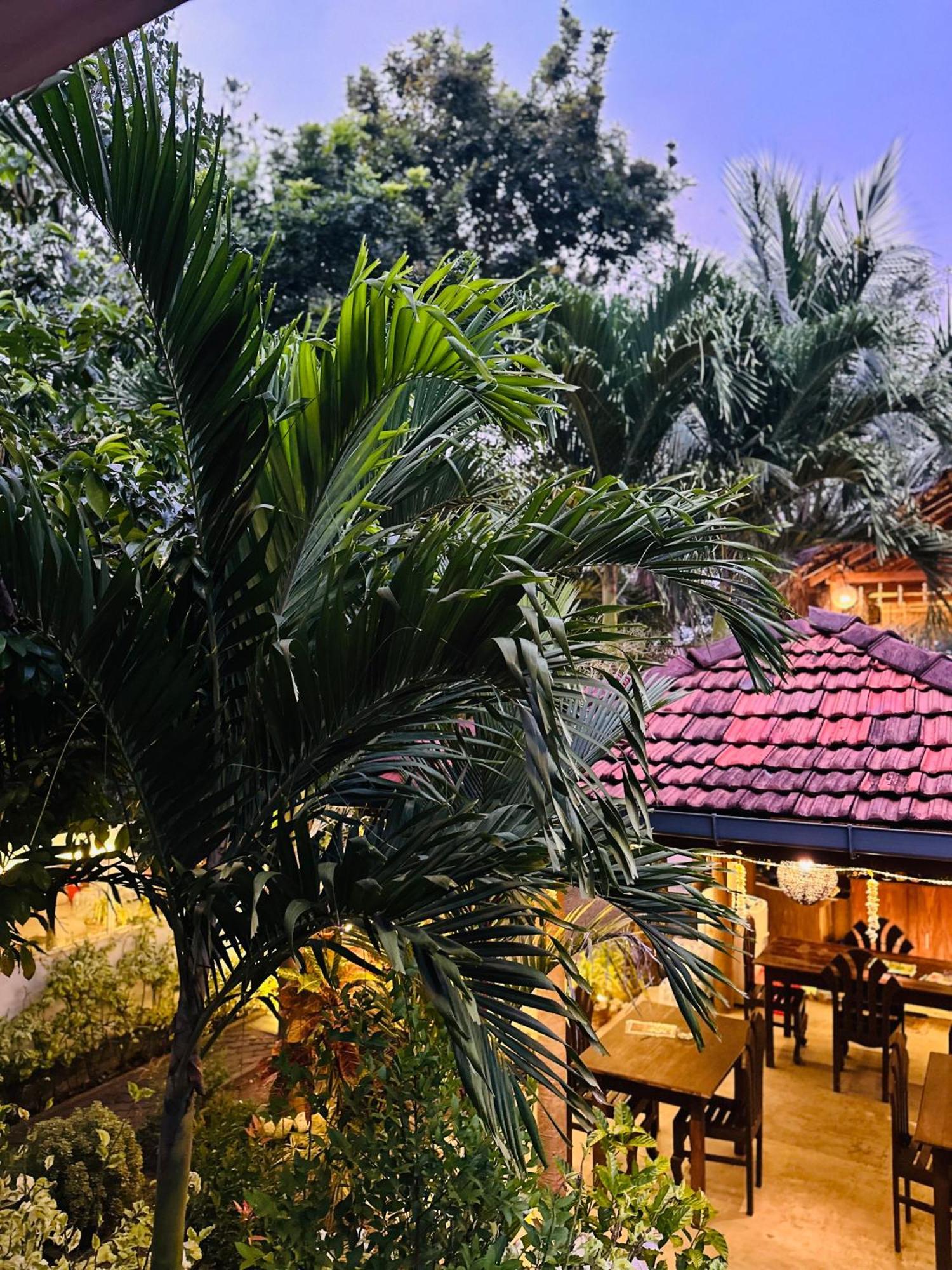 Rekawa Turtle Gate Hotel Tangalle Ngoại thất bức ảnh